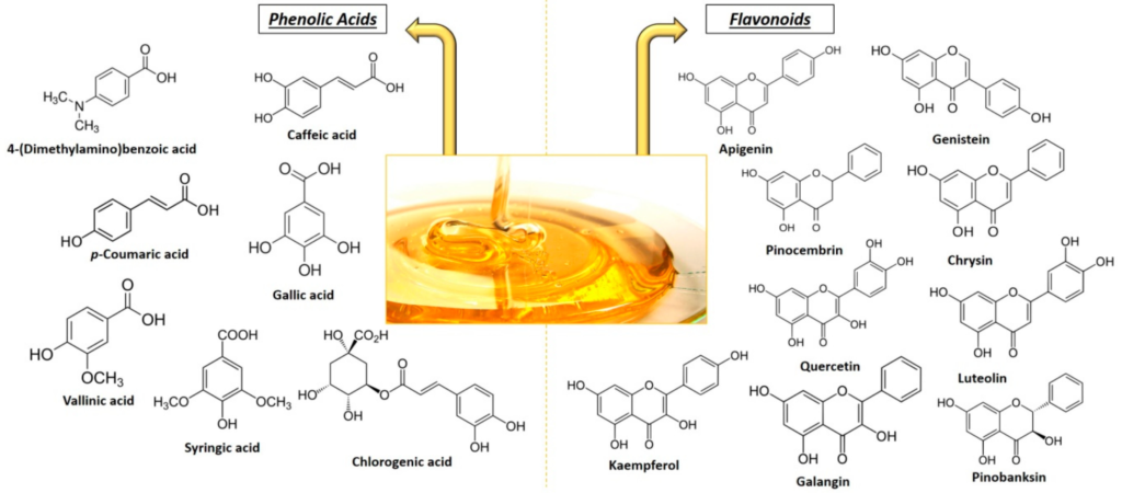 تحلیل مولکولي اثرات ضد سرطان عسل
